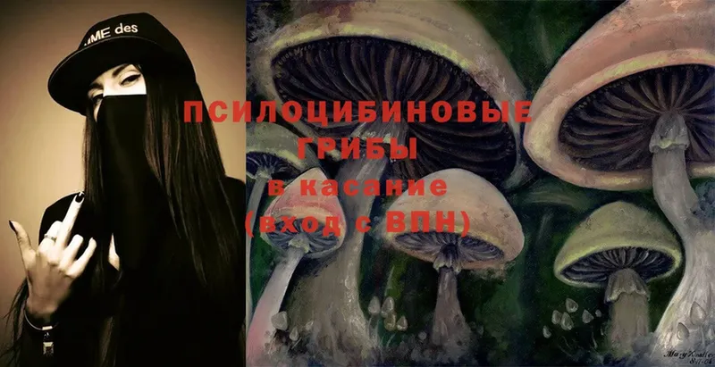 Псилоцибиновые грибы MAGIC MUSHROOMS  hydra ТОР  Новокузнецк  сколько стоит 